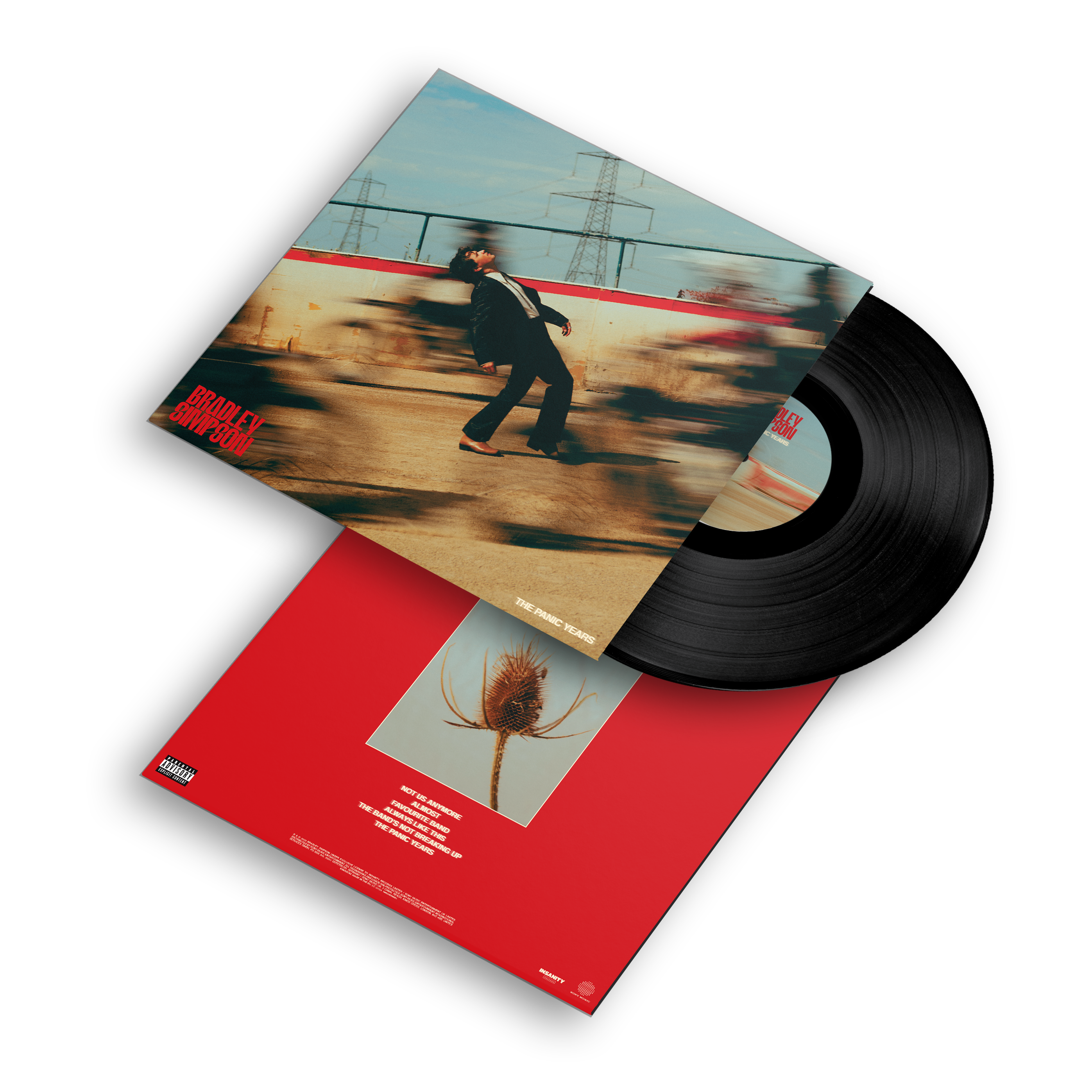 Image of The Panic Years (LP)